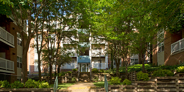 A leafy courtyard with steps to a multi-story apartment, surrounded by trees and greenery.